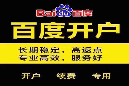 百度竞价广告的关键词选择与出价策略案例